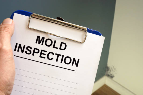 Asbestos and Lead Testing During Mold Inspection in Fruitridge Pocket, CA